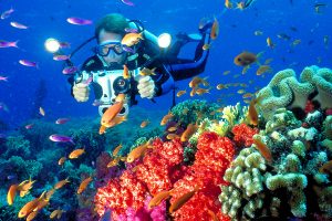 coral-diving